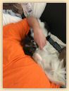 IMG-20190810-WA0005 - Kopie.jpg